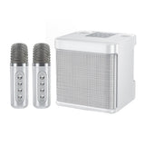Portable Karaoke Machine with 2 Wireless Microphones Portable Bluetooth Speaker for Family Party Singing Black