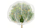 Bird Netting for Garden Protection Garden Netting Pest Barrier with Drawstring