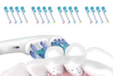 16 Piece Best Double Clean Replacement Brush Heads Compatible With Oral-B
