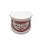 2pcs Anti Snore Mouth Guard Sleep Mouthguard Teeth Grinding Guard Dental Clenching Protector
