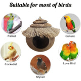 Hanging Coconut Shell Bird Nest With Ladder Cage Landscape Warm Bird House In Australia - Darrahopens