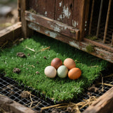 Chicken Nesting Pads 12 Pack Washable Artificial Grass Egg Mats 12x12 Inch Green