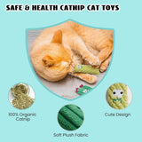 5 Pack Catnip Toys, Pure Organic Catnip Stuffed, Chew Plush for Indoor Cats In Australia - Darrahopens