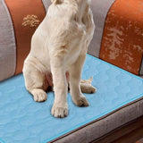 Dog Cooling Blanket Cooling Mat Cooling Mat for Dog Cat Pet Automatic Cooling Pillow - M In Australia - Darrahopens