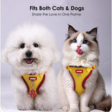 Cat Harness Leash Set, Escape-Proof Reflective Air Mesh Vest for Cats Dogs Walking - L