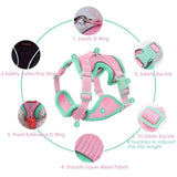 Cat Harness Leash Set, Escape-Proof Reflective Air Mesh Vest for Cats Dogs Walking - XL