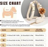 Pet Harness Leash Set Lace Embroidered Escape Resistant Adjustable White L
