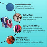 Breathable Mesh Pet Carrier Backpack For Dogs Cats Hiking Travel - Blue M