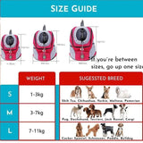Breathable Mesh Pet Carrier Backpack For Dogs Cats Hiking Travel - Black M In Australia - Darrahopens