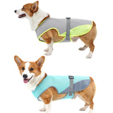 Dog Cooling Vest Adjustable Mesh Turquoise - L In Australia - Darrahopens