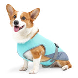 Dog Cooling Vest Adjustable Mesh Turquoise - L