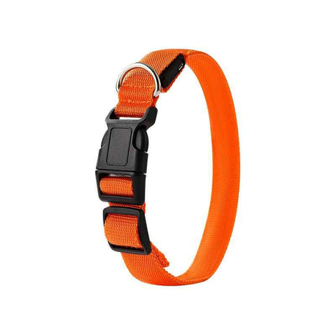 LED Light-Up Pet Collar, Large, Adjustable, USB Rechargeable, for Cats and Dogs, Nighttime Anti-Lost– Orange