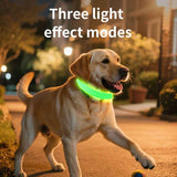 LED Light-Up Pet Collar, Large, Adjustable, USB Rechargeable, for Cats and Dogs, Nighttime Anti-Lost– Orange