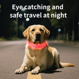 LED Light-Up Pet Collar, Large, Adjustable, USB Rechargeable, for Cats and Dogs, Nighttime Anti-Lost– Orange