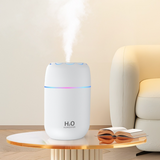 Flower Nozzle Mini USB Humidifier, 250ml Portable Cool Mist Humidifier with RGB Night Light, for Car, Bedroom, or Desk - Pink