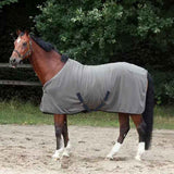 Insulated Winter Horse Blanket with Pest Repellent