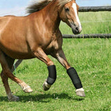 Rubber Horse Leg Wraps – Impact-Resistant & Breathable Leg Guards