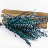 Natural Forever Eucalyptus Leaf Dried Real Eucalyptus Leaf Stems Bathroom Home Decor In Australia - Darrahopens