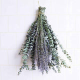 Natural Forever Eucalyptus Leaf Dried Real Eucalyptus Leaf Stems Bathroom Home Decor In Australia - Darrahopens