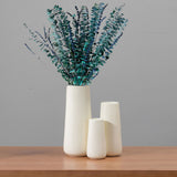 Natural Forever Eucalyptus Leaf Dried Real Eucalyptus Leaf Stems Bathroom Home Decor In Australia - Darrahopens