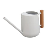 Watering Can 900ml Stainless Steel Long Spout Wooden Handle Elegant Flower Watering Pot for Garden Family Outdoor White In Australia - Darrahopens