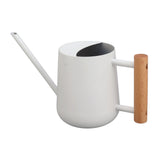 Watering Can 900ml Stainless Steel Long Spout Wooden Handle Elegant Flower Watering Pot for Garden Family Outdoor White In Australia - Darrahopens