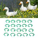 100pcs Chicken Identification Leg Bands Adjustable DIY Clip On Duck Bands for Geese Pigeons Green