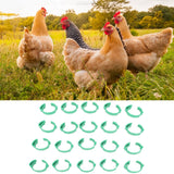 100pcs Chicken Identification Leg Bands Adjustable DIY Clip On Duck Bands for Geese Pigeons Green