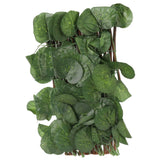 Artificial Hedges Fence Simulation Expandable Sun Protection Waterproof Artificial Topiary Hedge Plant for Garden Begonia Leaf In Australia - Darrahopens