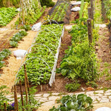 Greenhouse Hoops Grow Tunnel Insect Repellent Animal Protection Plant Shade Support Garden Stakes