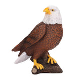 Bald Eagle Statue Head Turn Style Rich Details Stable Durable Resin Patriotic Eagle Figurine for Office Family Cafe In Australia - Darrahopens