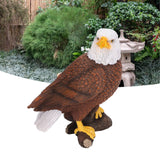 Bald Eagle Statue Head Turn Style Rich Details Stable Durable Resin Patriotic Eagle Figurine for Office Family Cafe