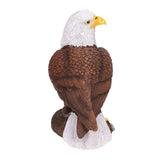 Bald Eagle Statue Head Turn Style Rich Details Stable Durable Resin Patriotic Eagle Figurine for Office Family Cafe