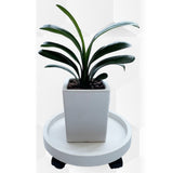 Flower Pot Tray Wheels Round Shape Removable Rotating Wheels Plant Stand for Balcony White 22