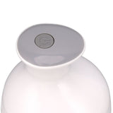 Portable Electric Handheld Scalp Massager USB Rechargeable Electric Pet Massager with 4 Massage Claws 4 Modes for Hair Growth Stress Relax Dogs Cats