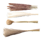 Natural Dried Pampas Grass Fluffy 15PCS White Pampas 15PCS Brown Pampas 50PCS Bunny Tail Grass 20PCS Reed Grass for Home Wedding Decor In Australia - Darrahopens
