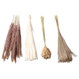 Natural Dried Pampas Grass Fluffy 15PCS White Pampas 15PCS Brown Pampas 50PCS Bunny Tail Grass 20PCS Reed Grass for Home Wedding Decor