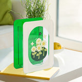 Acrylic Flower Vase Modern Bouquet Holder Clear Plant Floral Container Aesthetic Room Decor Sunflower In Australia - Darrahopens