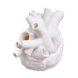 Creative Anatomical Heart Vases Resin Sculpture Heart Shaped Art Flower Vases Desktop Home Decoration for Living Room White