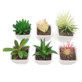 6PCS Potted Artificial Succulents Artificial Plants in Pots Plastic Fake Home Plant Decor for Living Room Office In Australia - Darrahopens