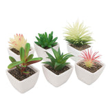 6PCS Potted Artificial Succulents Artificial Plants in Pots Plastic Fake Home Plant Decor for Living Room Office In Australia - Darrahopens