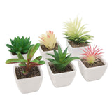 6PCS Potted Artificial Succulents Artificial Plants in Pots Plastic Fake Home Plant Decor for Living Room Office In Australia - Darrahopens