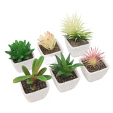 6PCS Potted Artificial Succulents Artificial Plants in Pots Plastic Fake Home Plant Decor for Living Room Office In Australia - Darrahopens