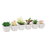 6PCS Potted Artificial Succulents Artificial Plants in Pots Plastic Fake Home Plant Decor for Living Room Office In Australia - Darrahopens
