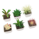 6PCS Potted Artificial Succulents Artificial Plants in Pots Plastic Fake Home Plant Decor for Living Room Office