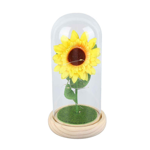 Simulation Sunflower Glass Cover Decoration Luminous LED Artificial Eternal Sunflower Glass Dome for Women In Australia - Darrahopens