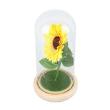 Simulation Sunflower Glass Cover Decoration Luminous LED Artificial Eternal Sunflower Glass Dome for Women In Australia - Darrahopens