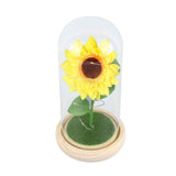 Simulation Sunflower Glass Cover Decoration Luminous LED Artificial Eternal Sunflower Glass Dome for Women In Australia - Darrahopens