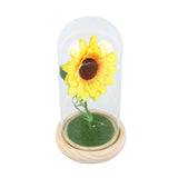 Simulation Sunflower Glass Cover Decoration Luminous LED Artificial Eternal Sunflower Glass Dome for Women In Australia - Darrahopens