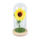 Simulation Sunflower Glass Cover Decoration Luminous LED Artificial Eternal Sunflower Glass Dome for Women In Australia - Darrahopens